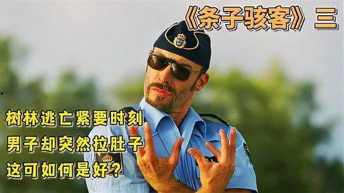 条子骇客在线观看,网络世界的惊悚冒险